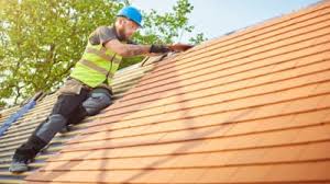 Best Roof Moss and Algae Removal  in Manson, WA