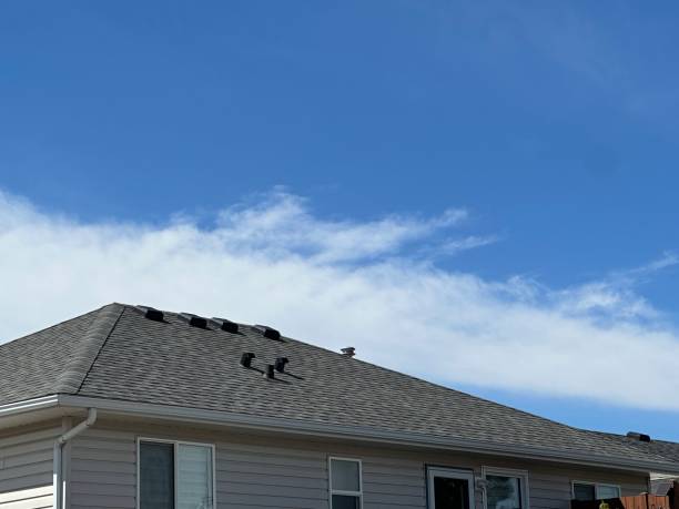 Best Skylights  in Manson, WA